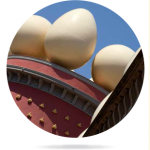 Announcement Image